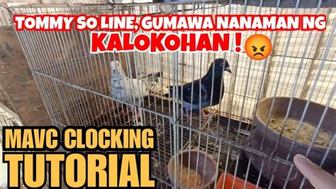 mavc clocking system register online|Paano gumawa ng account sa MAVC Pigeon Clocking .